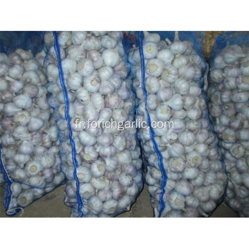 2020 Crop Fresh Ail blanc normal